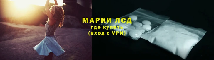 стафф Тавда