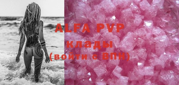 прущие крисы Тайга