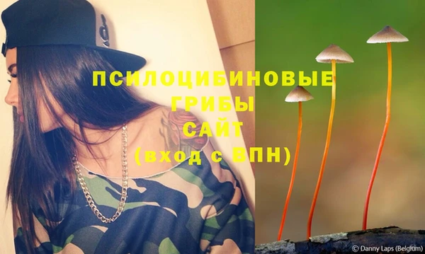 сатива Вязники