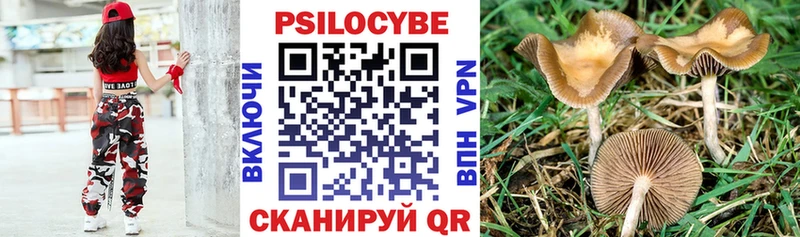 Галлюциногенные грибы мухоморы Данилов
