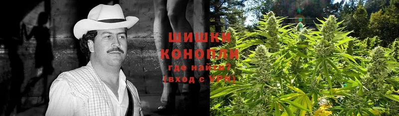 как найти наркотики  Данилов  Бошки Шишки OG Kush 